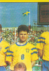 Team Photo Sweden samolepka Semic EM 92 #18